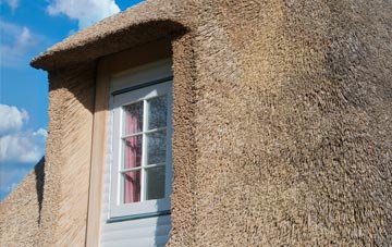 Lampton thatch roof disadvantages